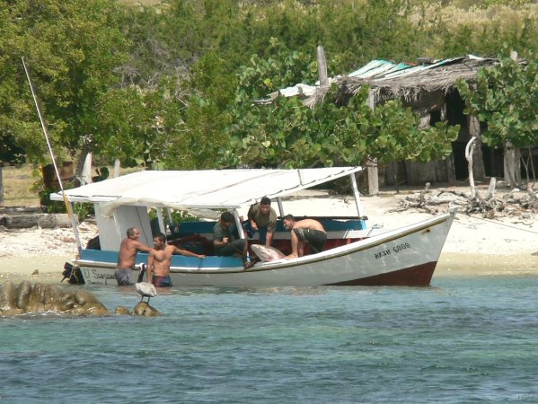 08- Les pecheurs debarquent un requin 